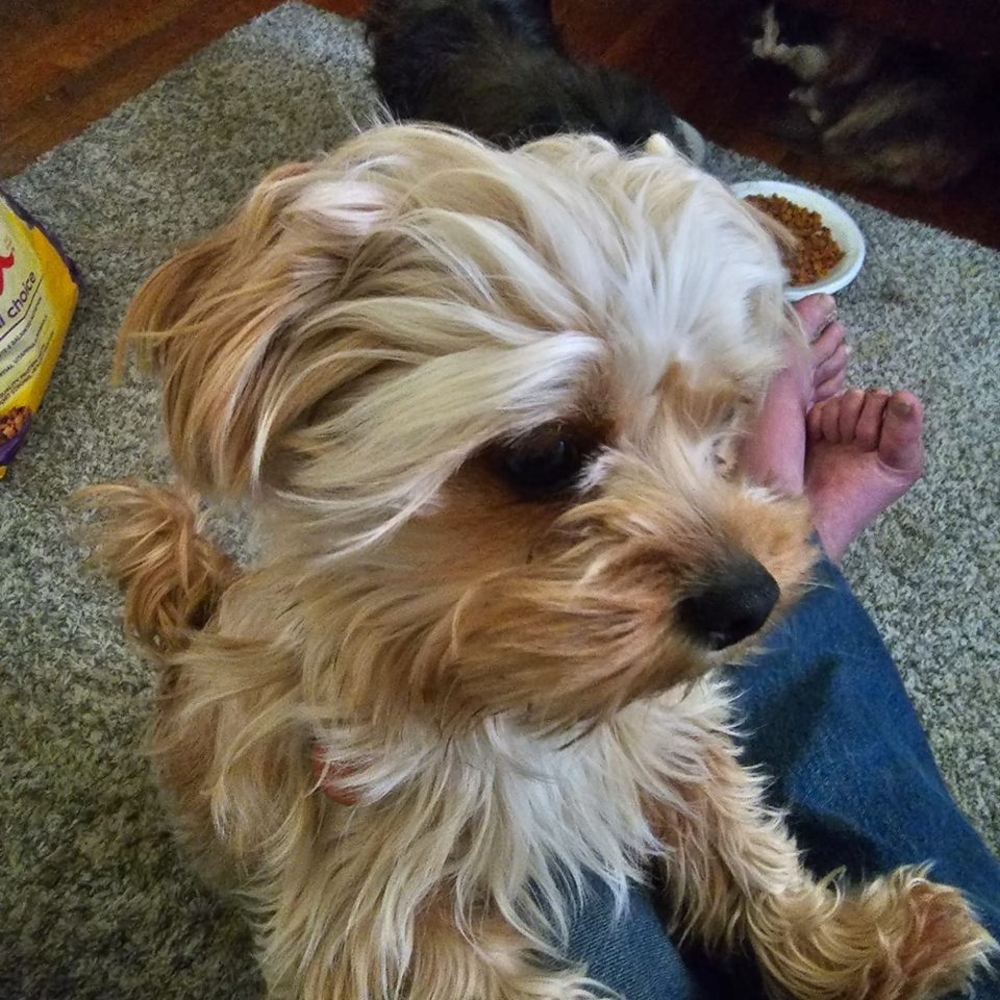 Meet your Posher, Richard